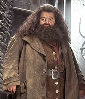 Rubeus Hagrid