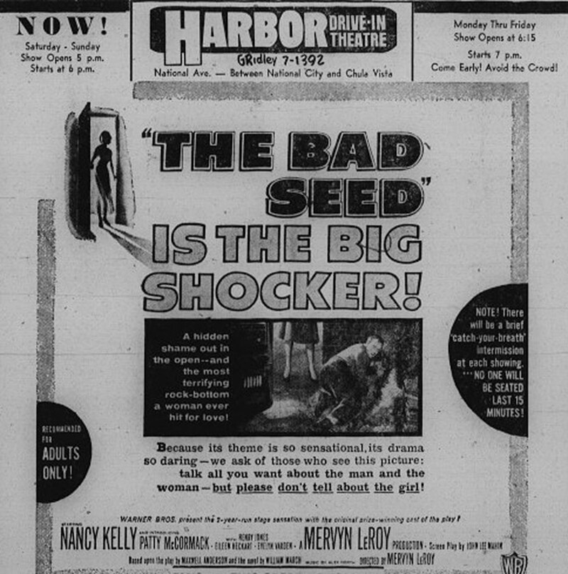 Navigating Societal Expectations