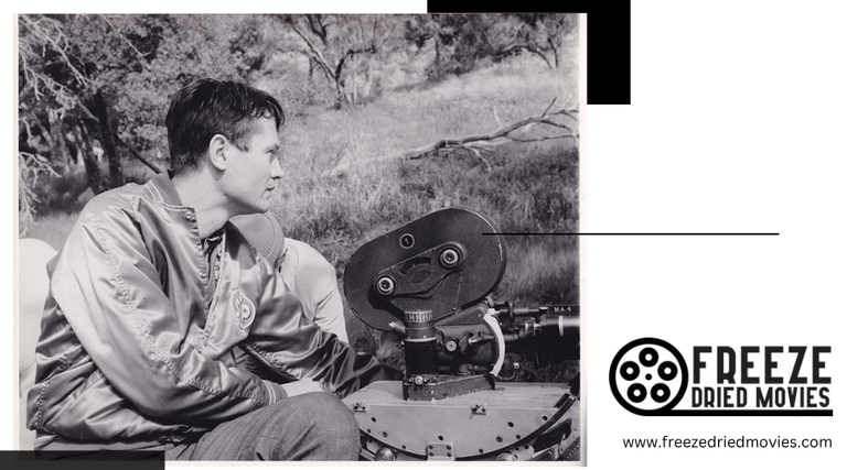 Roger Corman's Poe Cycle 1960-1964: Gothic Horror Masterpieces Explored ...