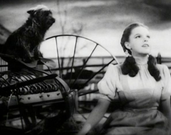 Judy_Garland_Over_the_Rainbow_2