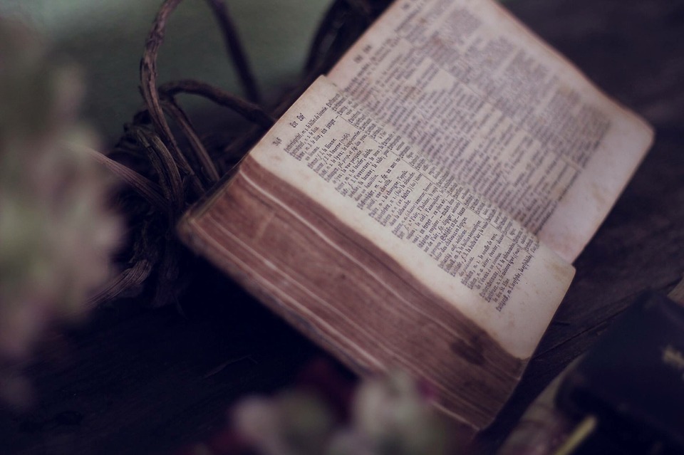 open bible, blurred flowers, wooden tabletop, tree twigs