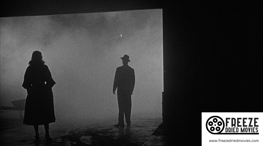 What Are the Origins and Defining Features of 1940s Film Noir?